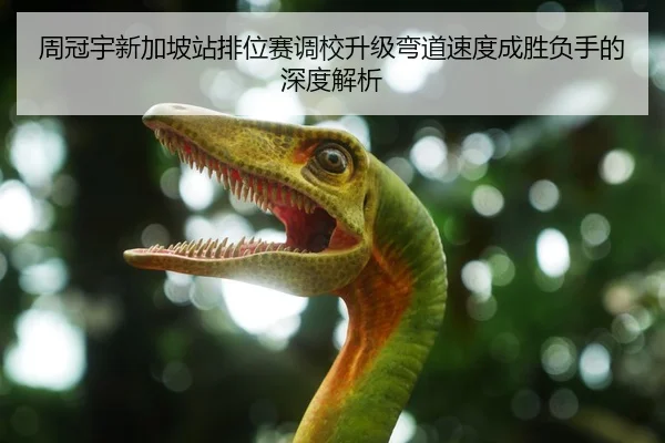 周冠宇新加坡站排位赛调校升级弯道速度成胜负手的深度解析